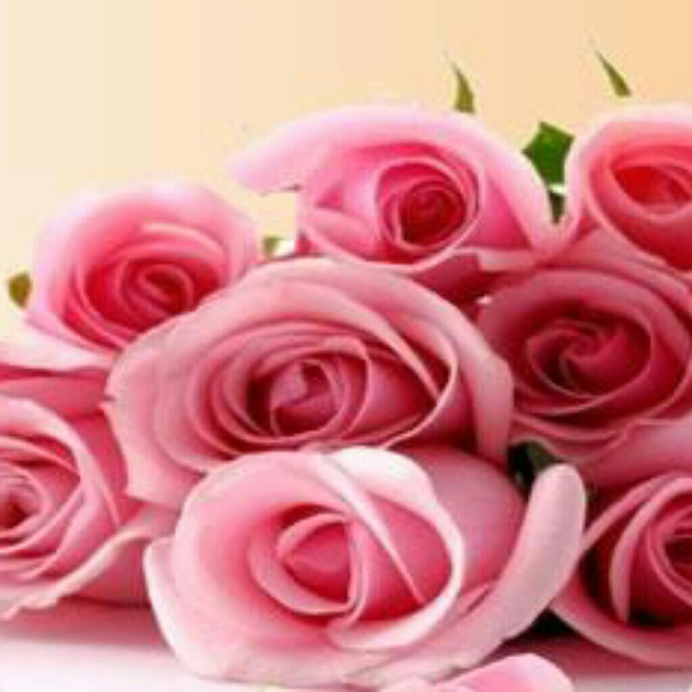 Meet your Posher, Letty